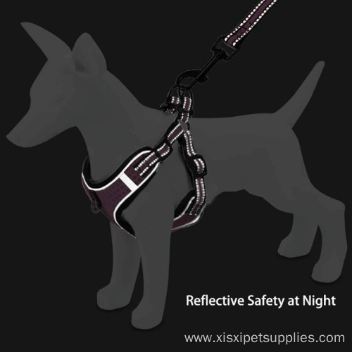 Dog Harness And Leash Dog Harnesses